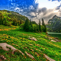 Landscape